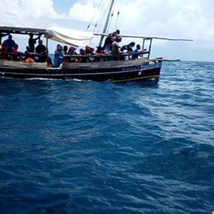 mpunguti kisite excursion wasini